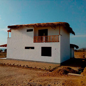 Proyecto : Las Palmeras